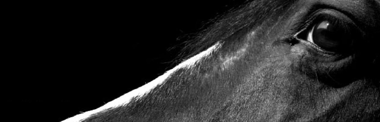 Agua Dulce landscape at dusk